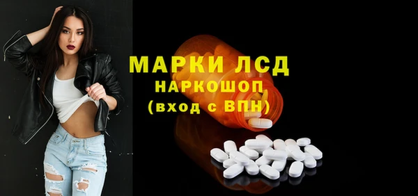 spice Гусев