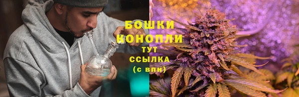a pvp Гусь-Хрустальный