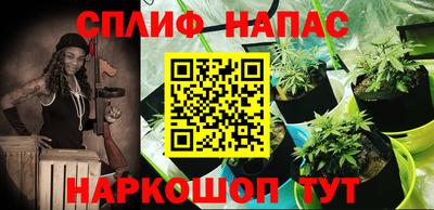 Альфа ПВП Можайск