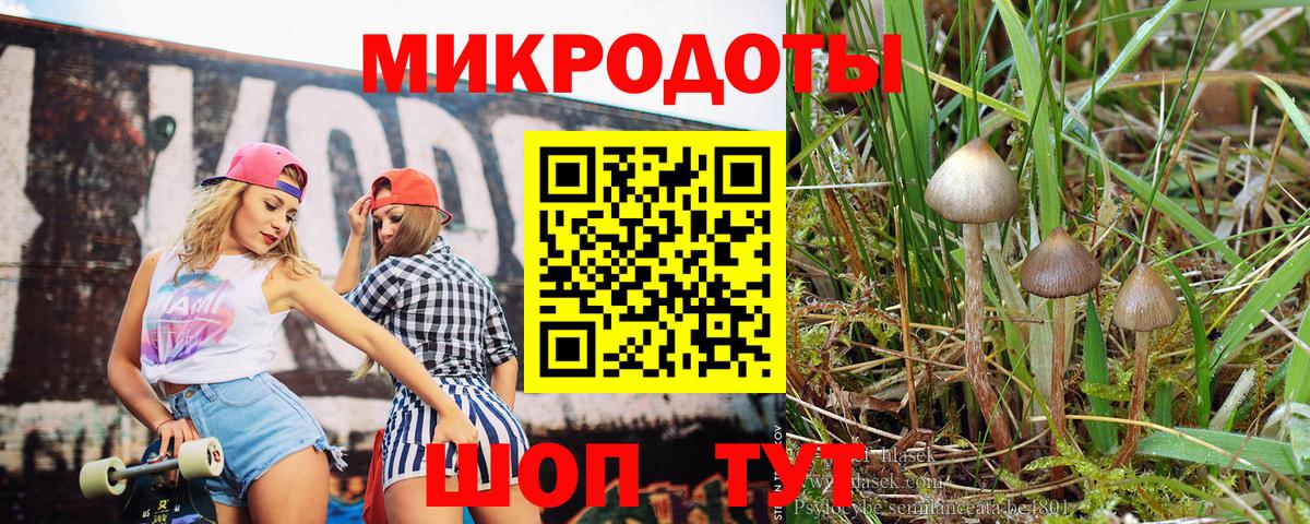 Псилоцибиновые грибы Magic Shrooms  Вход с VPN  Псилоцибиновые грибы ЛСД  Электросталь 